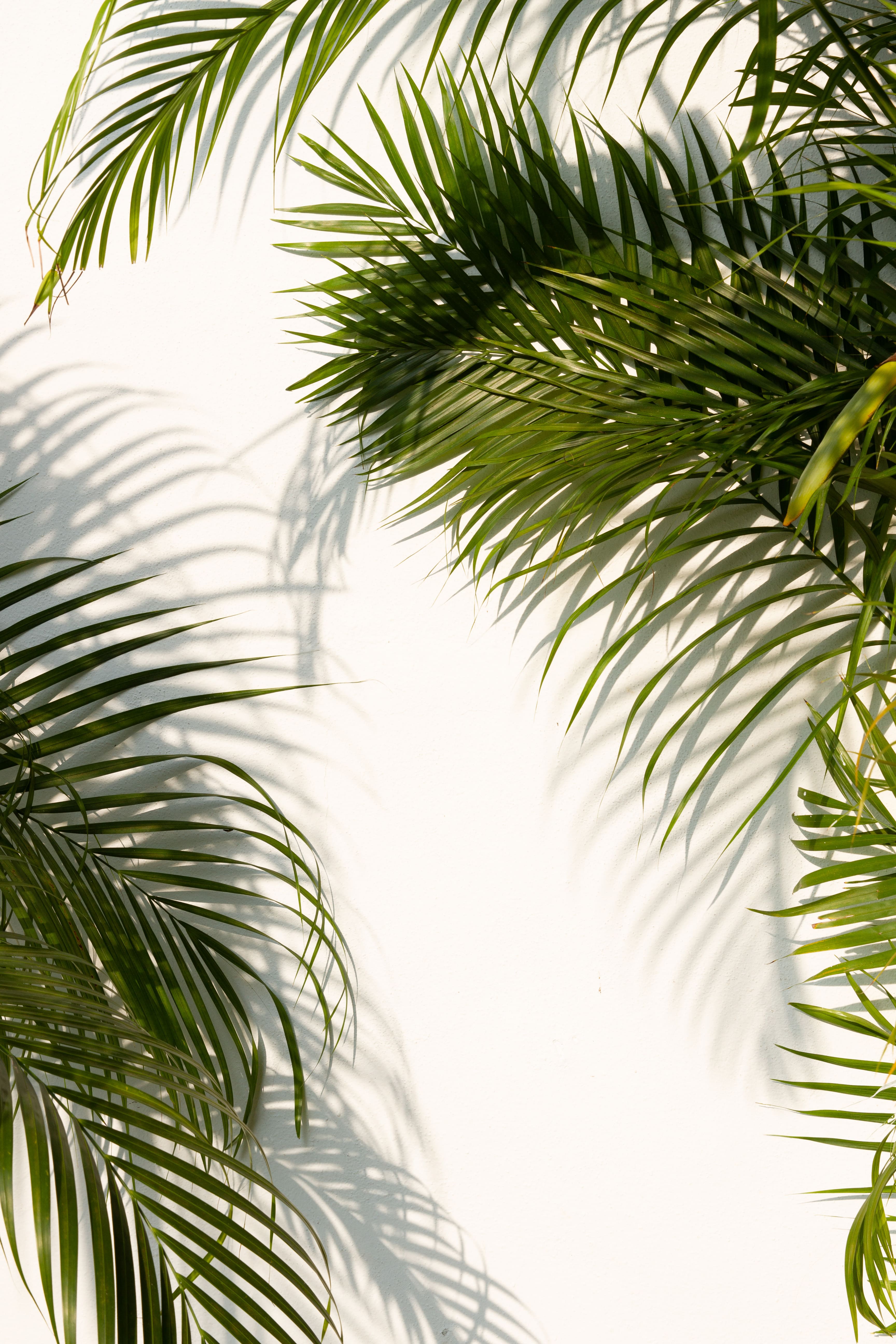 _MG_6567-43-Casa SA.jpg